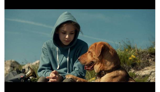 Borítókép: Fehér isten - A film, amit mindenkinek látnia kell