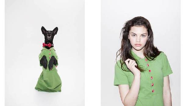 Borítókép: Kutyával és gyerekkel bármit el lehet adni - és tényleg