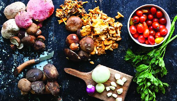 Borítókép: Szuper gombás reggeli Erdőháti Árontól