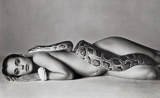  Richard Avedon, 1981