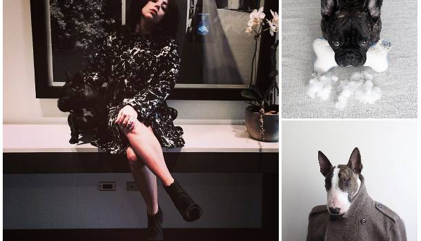 Borítókép: Megmutatjuk Lagerfeld, Marc Jacobs és Lady Gaga házi kedvenceit