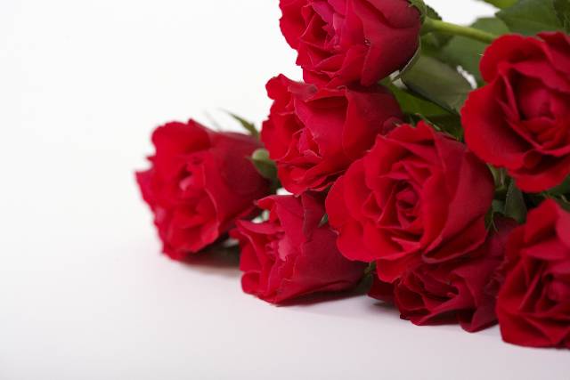 Bouquet of roses, close-up