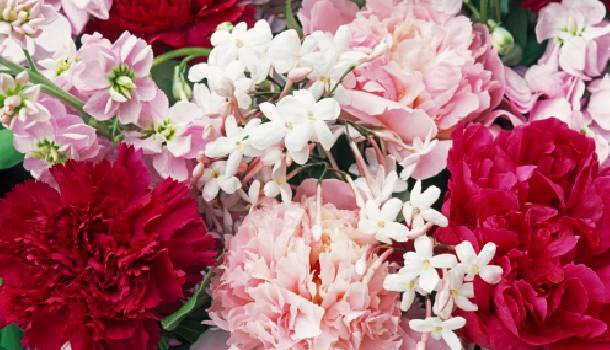 Borítókép: Rózsa vagy tulipán? Ezt árulja el rólad kedvenc virágod