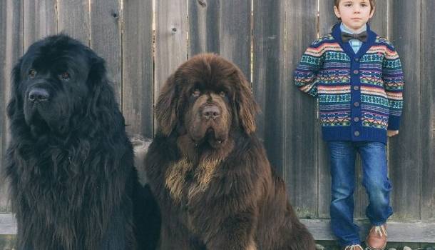 Borítókép: Két kutya és egy stílusos gyerek, avagy ilyen a tökéletes Instagram profil