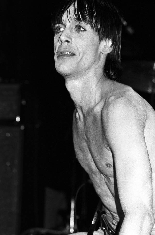 David Bowie