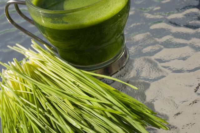 Wheatgrass Cocktail