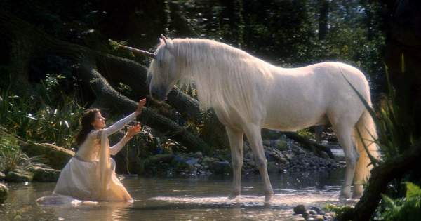 Borítókép: Az unikornisok tényleg léteztek! Így néztek ki a valóságban - FOTÓ