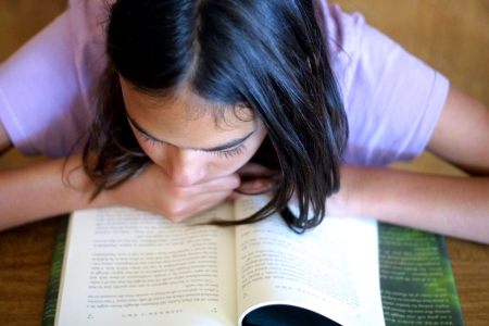 Borítókép: 6 új, különleges ifjúsági könyv