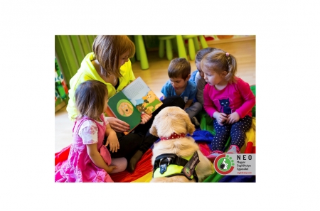 Borítókép: Ha kutyás mesekönyvet vennél mostanában, ez legyen az!