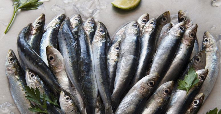 Borítókép: Újabb 3 alapanyag, ami segíti a regenerációt