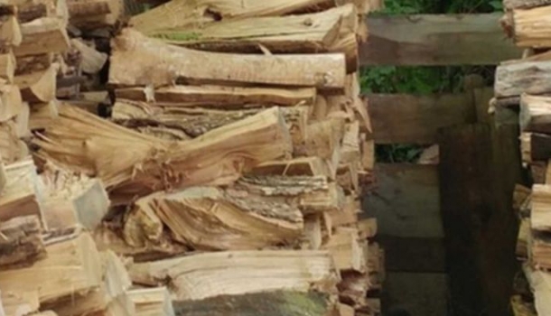 Kép