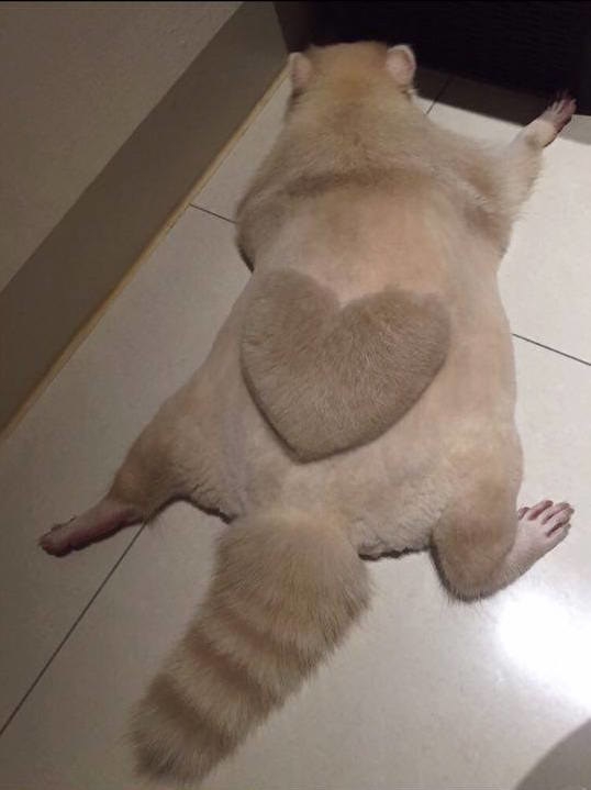 Kép