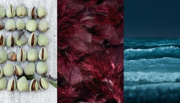 Borítókép: Az ősz csodás színei - 5 körömlakk, amit ki kell próbálnod már most