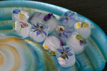 Borítókép: Fagyaszd le a nyarat: tedd el az ehető virágokat is!