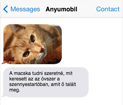 Kép