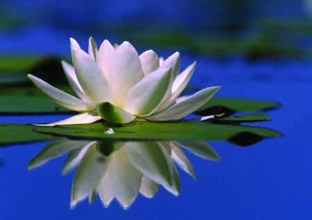 Borítókép: Hévízi felfedező túra