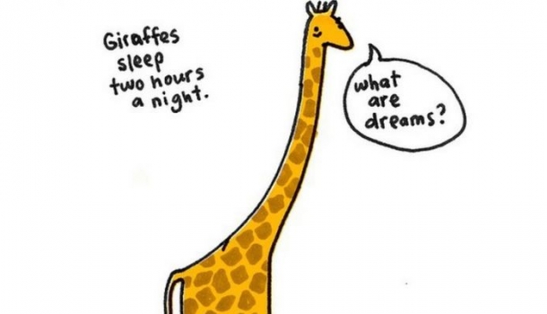 Borítókép: 19 szomorú tény állatokról – szenzációsan vicces rajzokon