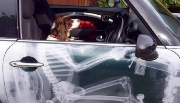 Kép
