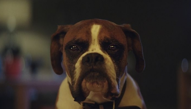 Borítókép: Végre megérkezett! John Lewis karácsonyi reklámját idén is képtelenség zsepi nélkül végignézni