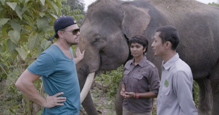 Borítókép: Leonardo DiCaprio most sem okozott csalódást