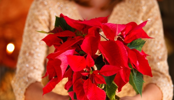 Borítókép: Kerüld el ezt a 6 karácsonyi dekorklisét!