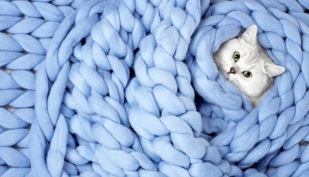 Borítókép: Ilyet még nem láttatok: eszement tárgyak bekuckózáshoz