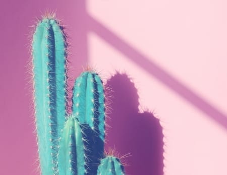 Borítókép: 8 dolog, ami balszerencsét hoz a lakásba