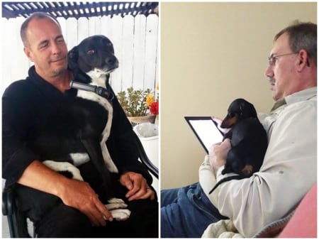 Borítókép: Apa azt mondta: "ide ugyan nem jön kutya!" - Kis idővel később: