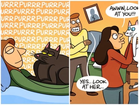 Borítókép: 9 vicces kép, ami bizonyítja, hogy a macskák igenis nélkülözhetetlenek!