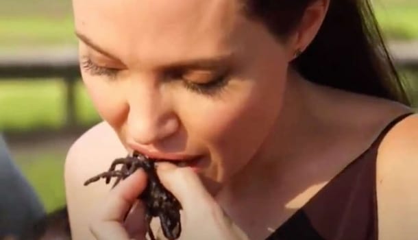 Borítókép: VIDEÓ: Angelina Jolie skorpiót és tarantulát eszik a gyerekeivel Kambodzsában