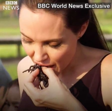 Borítókép: VIDEÓ: Angelina Jolie skorpiót és tarantulát eszik a gyerekeivel Kambodzsában