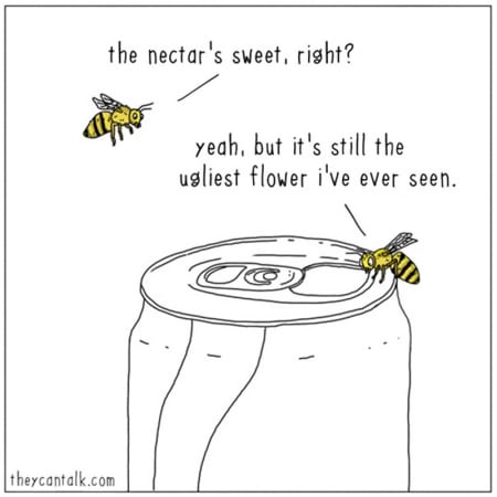 Borítókép: Íme 32 bizonyíték, hogy az állatok igenis tudnak beszélni