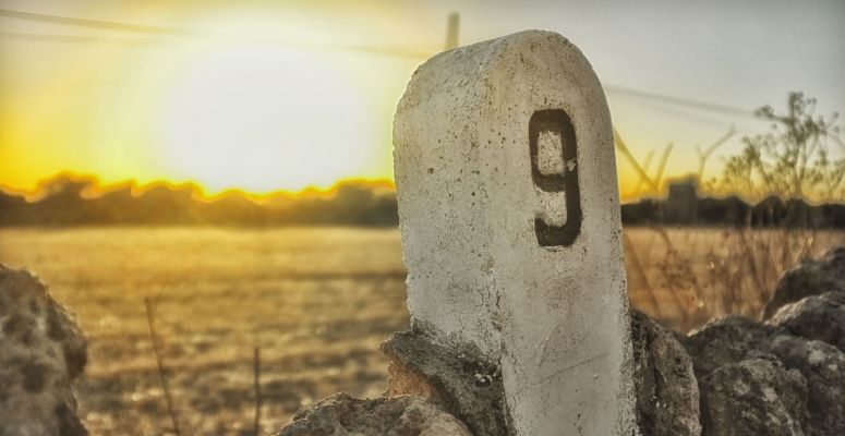Borítókép: Szimpátia kilences, avagy amikor az élet közbeszól