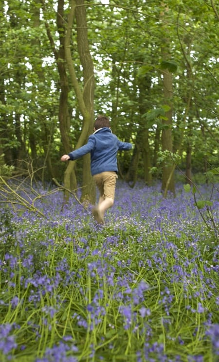 Borítókép: Napi horoszkóp, március 20.: a Rákok napját bizonyítási vágyuk határozza meg, a Nyilasoknak egy pozitív impulzus ad hatalmas lendületet