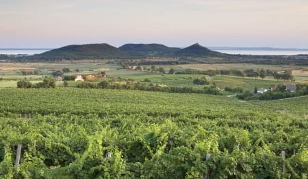 Borítókép: A Balatont ajánlja olvasóinak az egyik legnépszerűbb divatmagazin