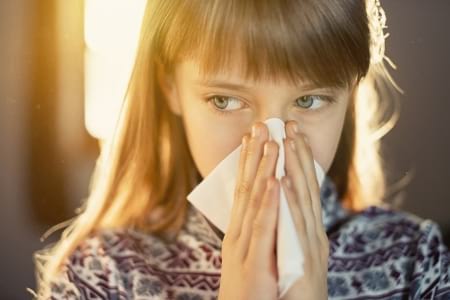 Borítókép: 12 módszer a porallergia enyhítésére vagy akár megszüntetésére 