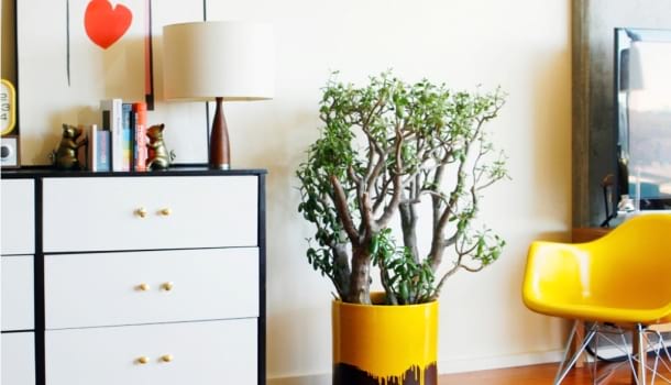 Borítókép: 4 zseniális DIY-projekt a hétvégére