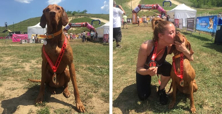 Egy felülmúlhatatlan közös élmény - ilyen volt a Hard Dog Race 