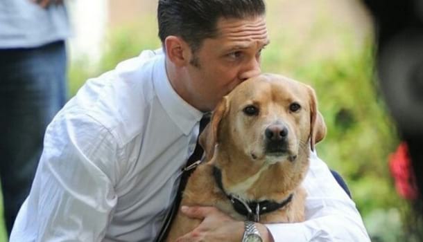 Borítókép: Gyászol a világsztár: Tom Hardy nyílt levelét senki sem tudja könnyek nélkül végigolvasni, akinek volt már kutyája