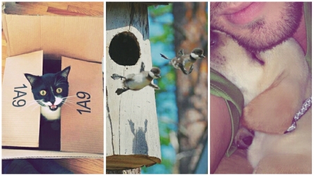 Borítókép: 17 fotó állatokról, akik épp először csinálnak valamit