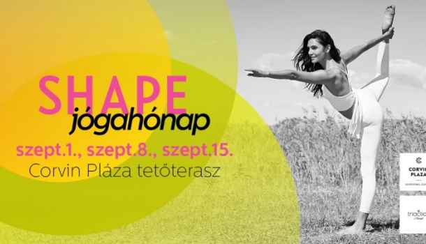 Kép