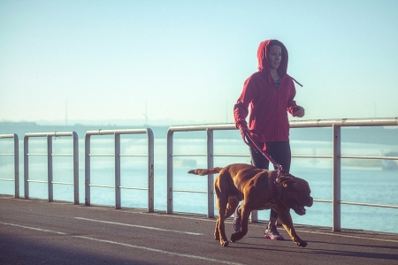 Borítókép: Dolgoztasd meg az egész testedet kutyasétáltatás közben – 8 kreatív edzőgyakorlat, amit négylábú barátod is értékelni fog