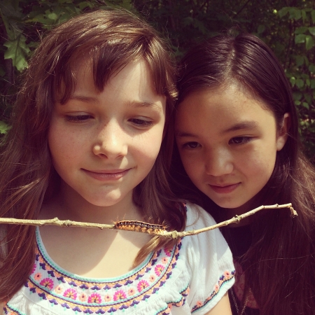 Borítókép: 9 éves kislány írta minden idők legsikeresebb publikációját ebben a szakfolyóiratban