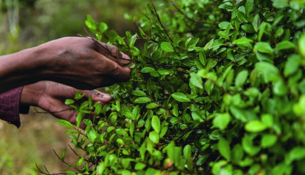 Borítókép: Miben rejlik a külső káros hatások elleni bőrvédelem hatékonysága? Íme a válasz!