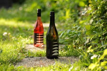 Borítókép: A legnagyobb tévhitek a borokkal, borfogyasztással kapcsolatban