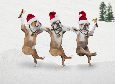 Borítókép: Hogy hangolódjak az ünnepre, ha már októberben az arcomba vágják a karácsonyt?