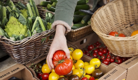 Borítókép: Ez aztán a fenntartható kihívás! Hat hónapja gyakorlatilag nem viszek haza nejlonzacskót