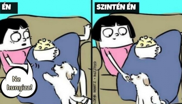 Kép