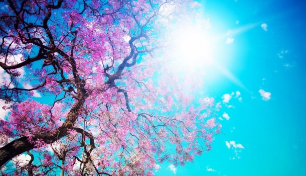 Borítókép: Napi horoszkóp április 6.: az Oroszlánoknak új szerelem van kilátásban, a Nyilasok a siker felé vezető úton haladnak