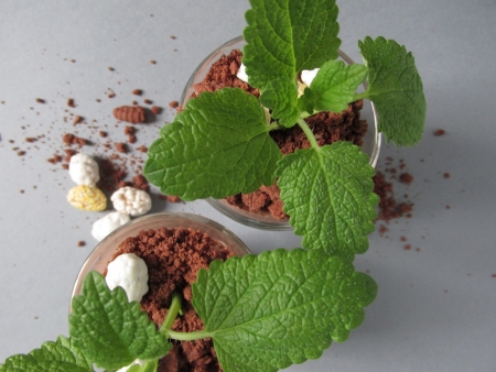 Borítókép: Te ettél valaha földet? Ha nem, ezt a szuper gyors „Száz év magány ”csokis desszertet ki kell próbálnod!